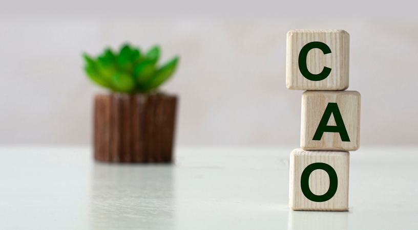 Foto in kolom - 6:4 verhouding