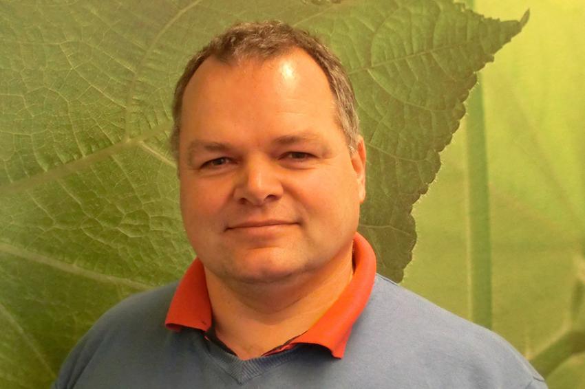 Foto in kolom - 6:4 verhouding